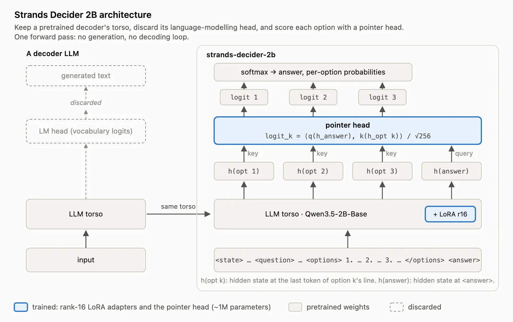 Strands Decider 2B architecture diagram: a Qwen3.5-2B-Base torso with LoRA r16 feeds hidden states at each option and at the answer position into a pointer head that outputs one logit per option